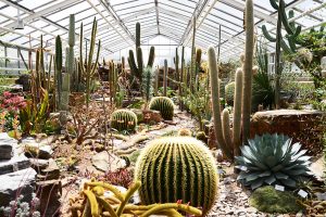 Jardín Botánico - Muniqueando